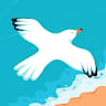 Author profile pic - Haifa Salah