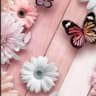 Author profile pic - shahd