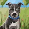 Author profile pic - Abha Ros