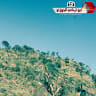 Author profile pic - algowzi Tv