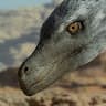 Author profile pic - Velociraptor sp.