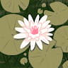 Author profile pic - Toto Hazem
