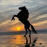 Author profile pic - Oussama Horserider