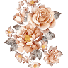 Author profile pic - Perle Noire