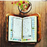 Author profile pic - Amira Abu Asab