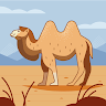 Author profile pic - مرتضى علي