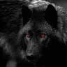 Author profile pic - Canis lupus