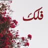 Author profile pic - فلك